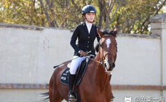 色情无码鲁鲁A的电影